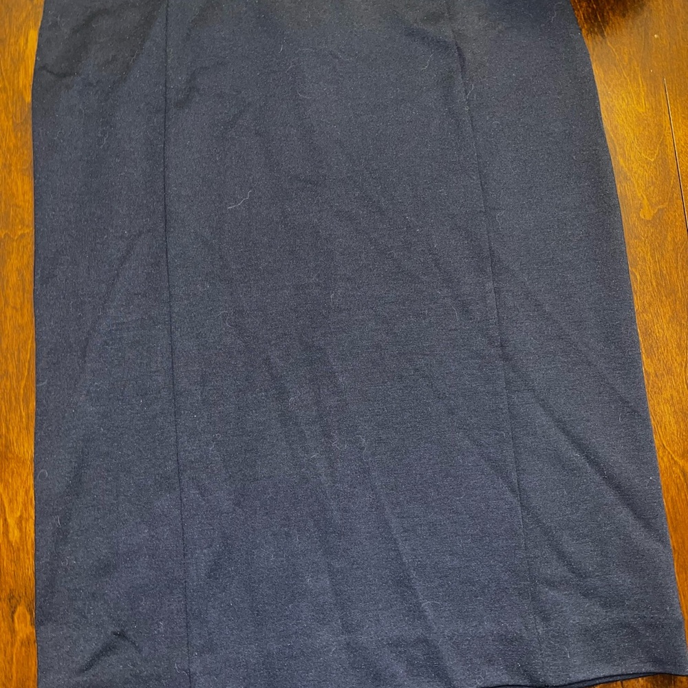 Ann Taylor Factory Dark Blue A-Line Skirt